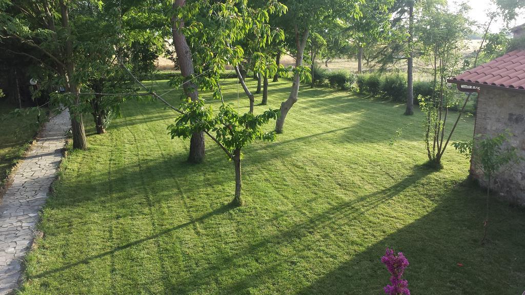 Agriturismo Casal Taccone Lägenhet Tarquinia Rum bild