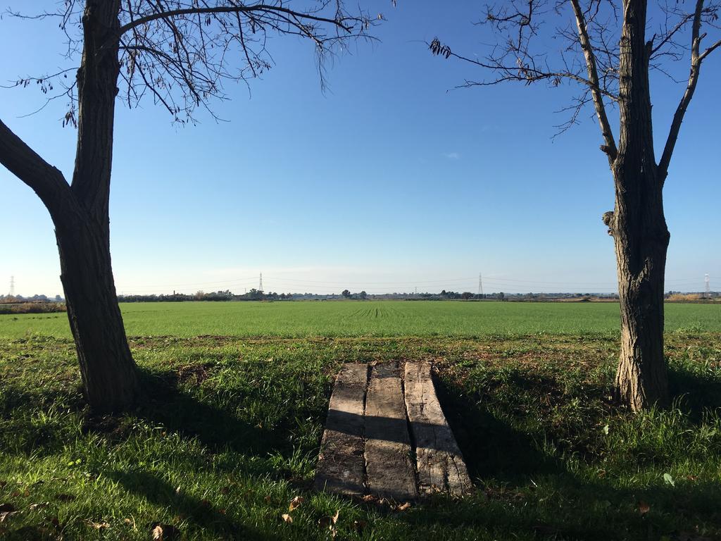 Agriturismo Casal Taccone Lägenhet Tarquinia Exteriör bild