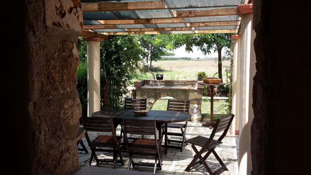 Agriturismo Casal Taccone Lägenhet Tarquinia Exteriör bild